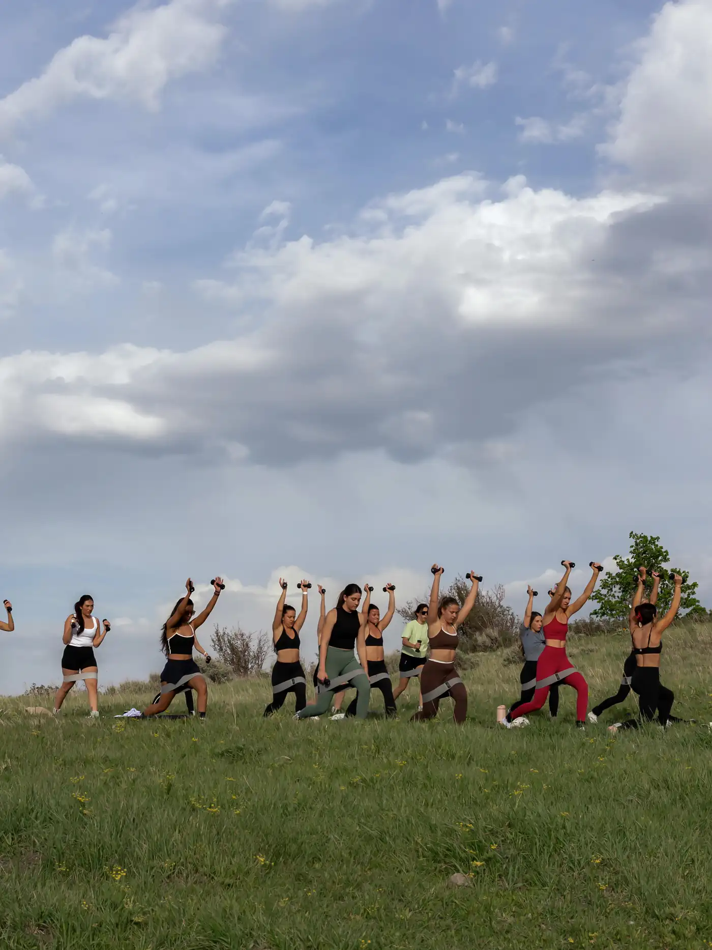 The class mid-flow in the meadow